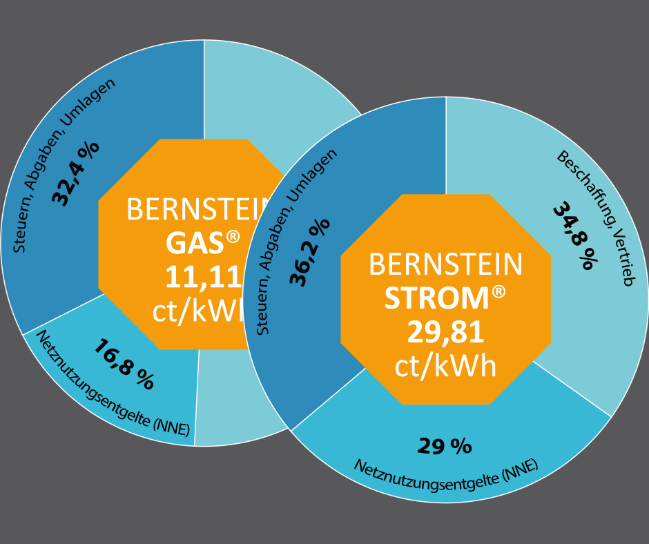 Bild zeigt zwei Kuchendiagramme. Eins mit dem Inhalt Bernsteinstrom zu 29,81 ct/kWh und ein mit Bernsteingas zu 11,11 ct/kWh.